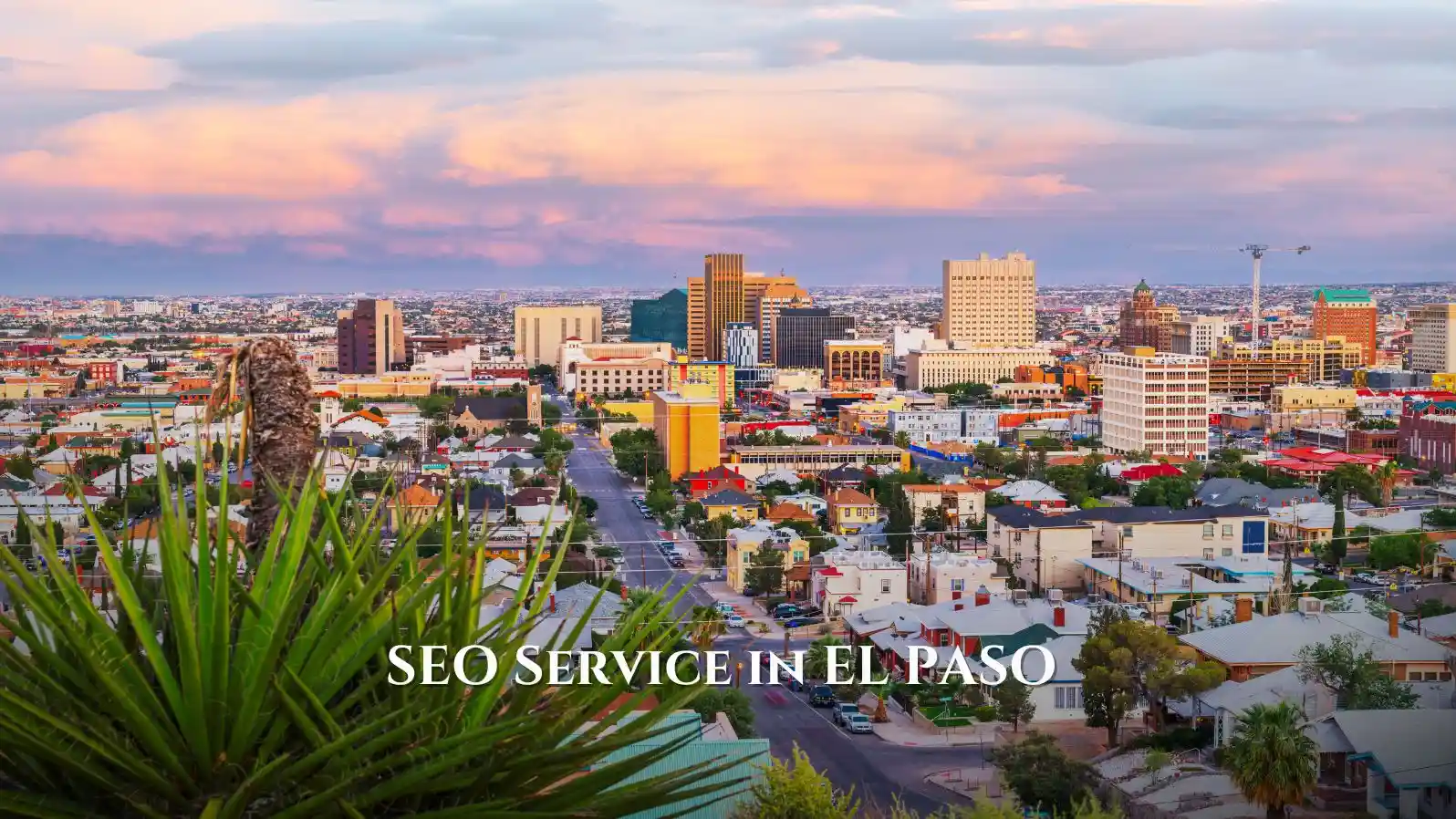 SEO Services in El Paso by Ranknreach